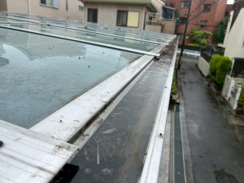 雨樋の詰まり
